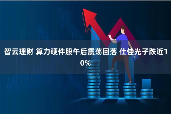 智云理财 算力硬件股午后震荡回落 仕佳光子跌近10%