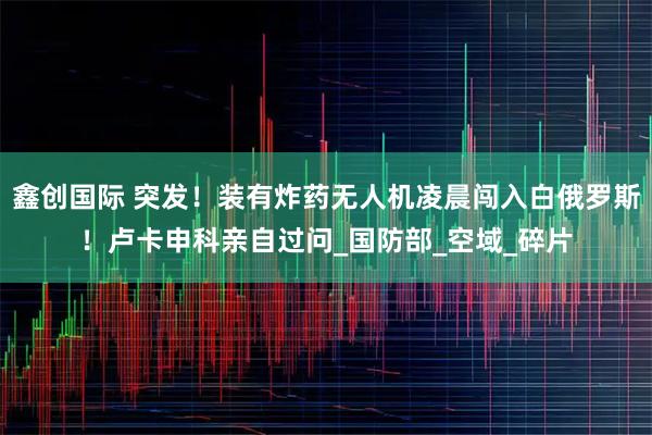 鑫创国际 突发！装有炸药无人机凌晨闯入白俄罗斯！卢卡申科亲自过问_国防部_空域_碎片