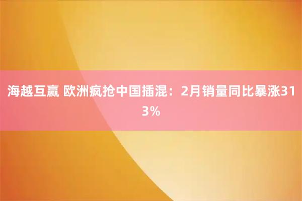 海越互赢 欧洲疯抢中国插混：2月销量同比暴涨313%